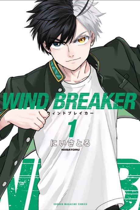 WIND BREAKER—防風少年—